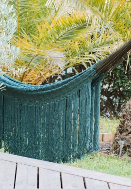 Olive green hammock garden