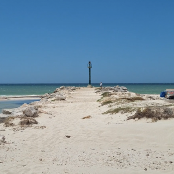 Capture d’écran 2026-02-15 à 12.16.57 Kitesurfing in the Yucatán